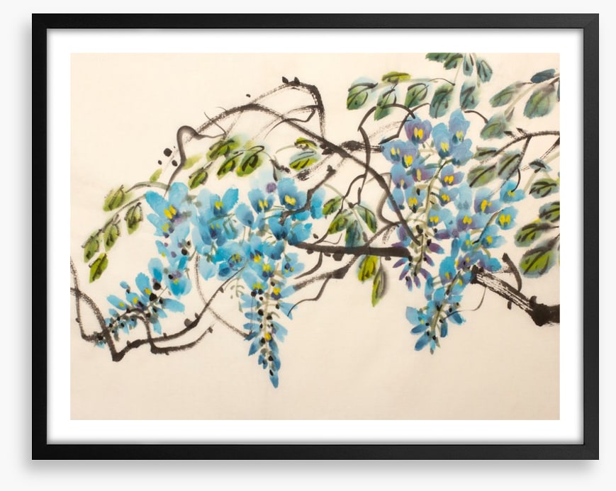 Blue wisteria