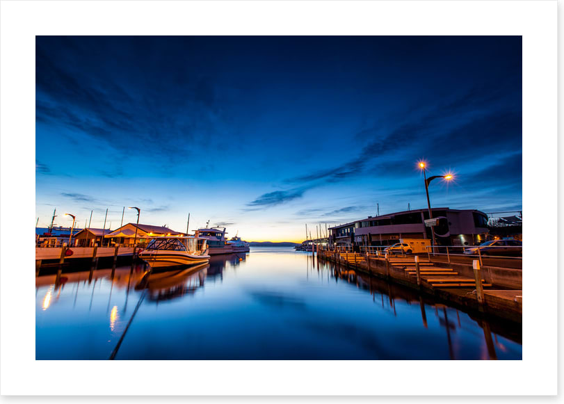 Tasman blues