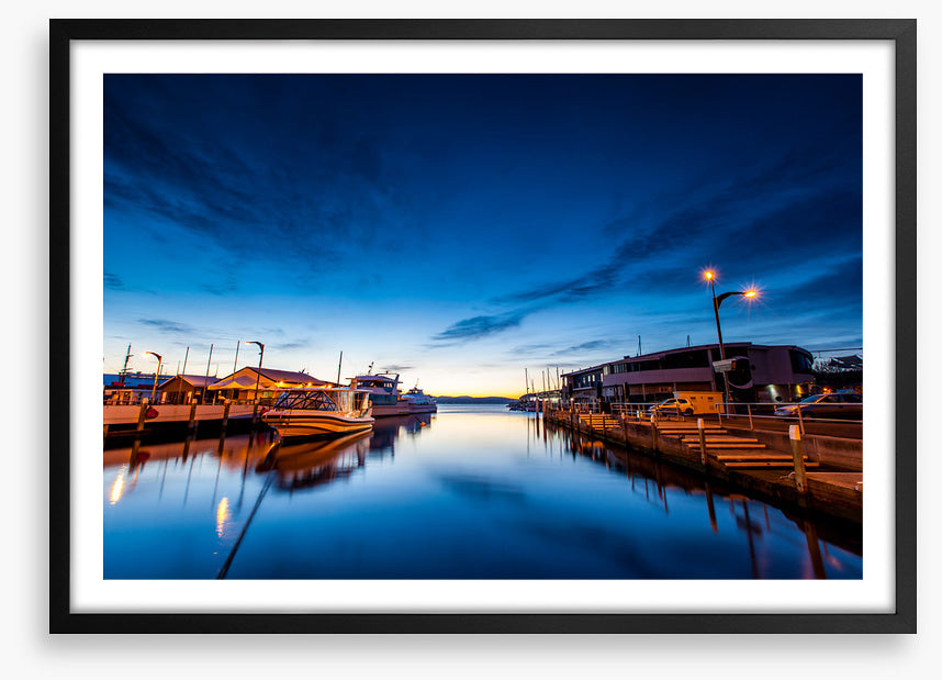 Tasman blues