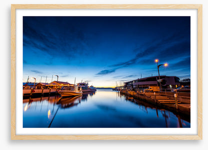 Tasman blues