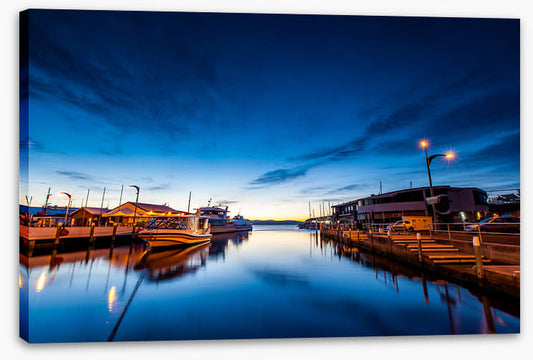 Tasman blues