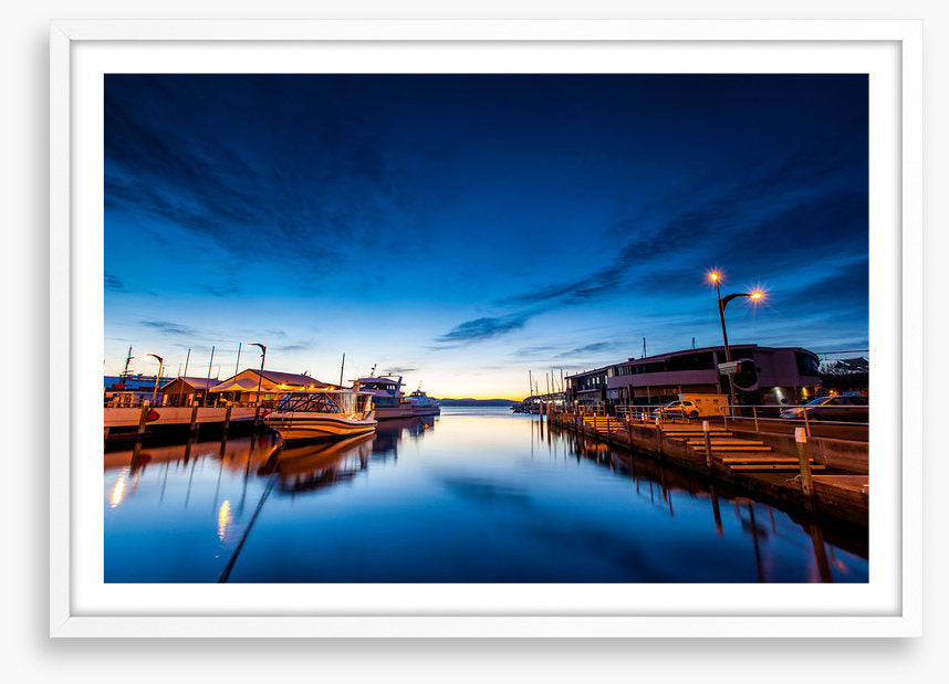 Tasman blues