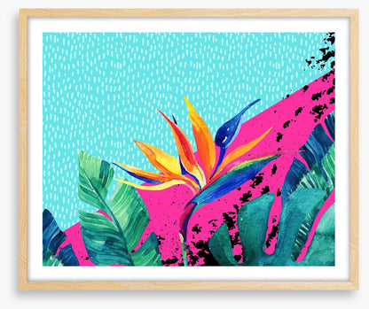 Ocean paradise