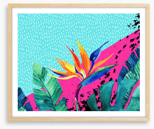 Ocean paradise