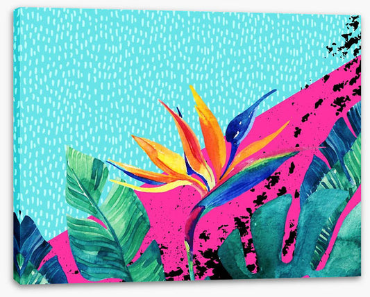 Ocean paradise