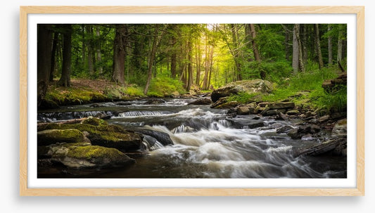 Dingman's Creek cascades