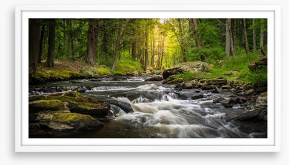 Dingman's Creek cascades