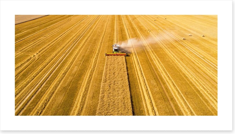 Agriculture