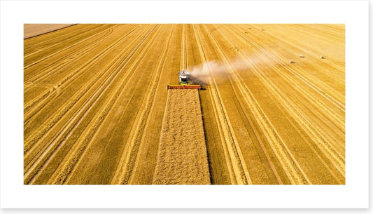 Agriculture