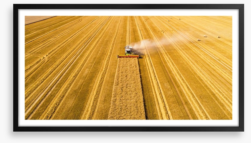 Agriculture