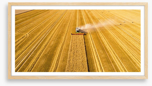 Agriculture