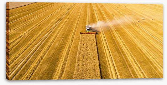 Agriculture