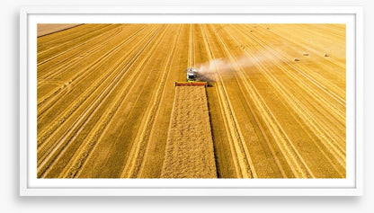Agriculture