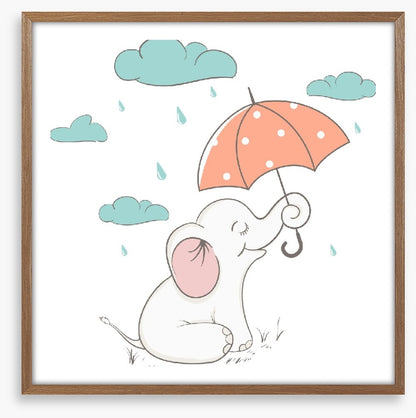 Elephants