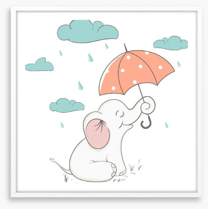 Elephants