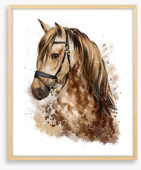 The gentle mare
