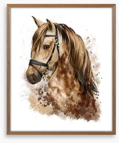 The gentle mare