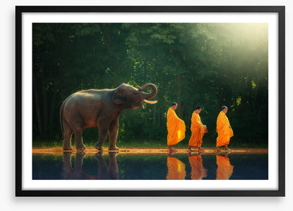 Follow the leader