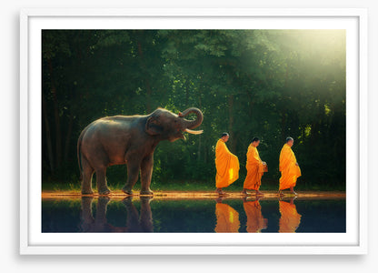 Follow the leader