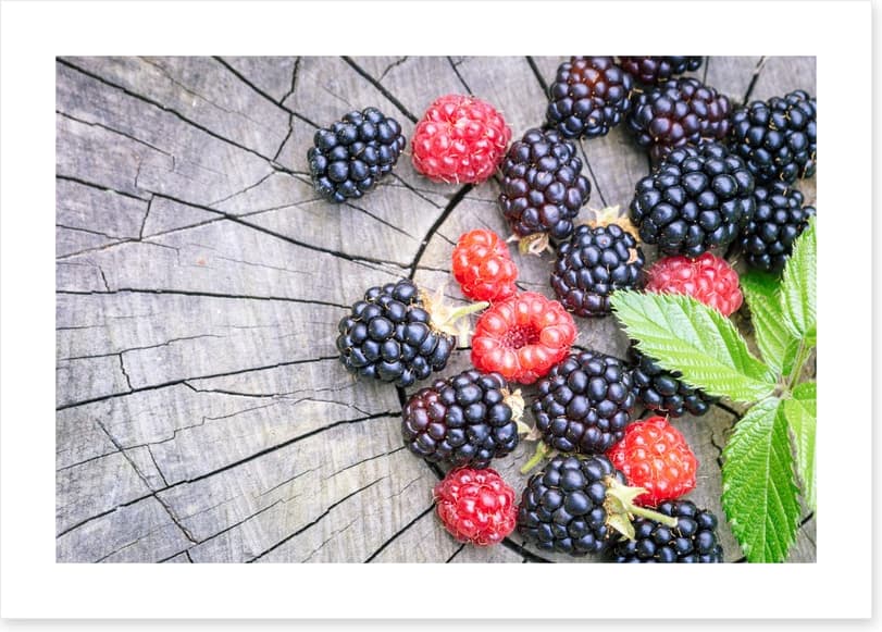 Berries laid bare