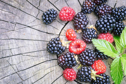 Berries laid bare