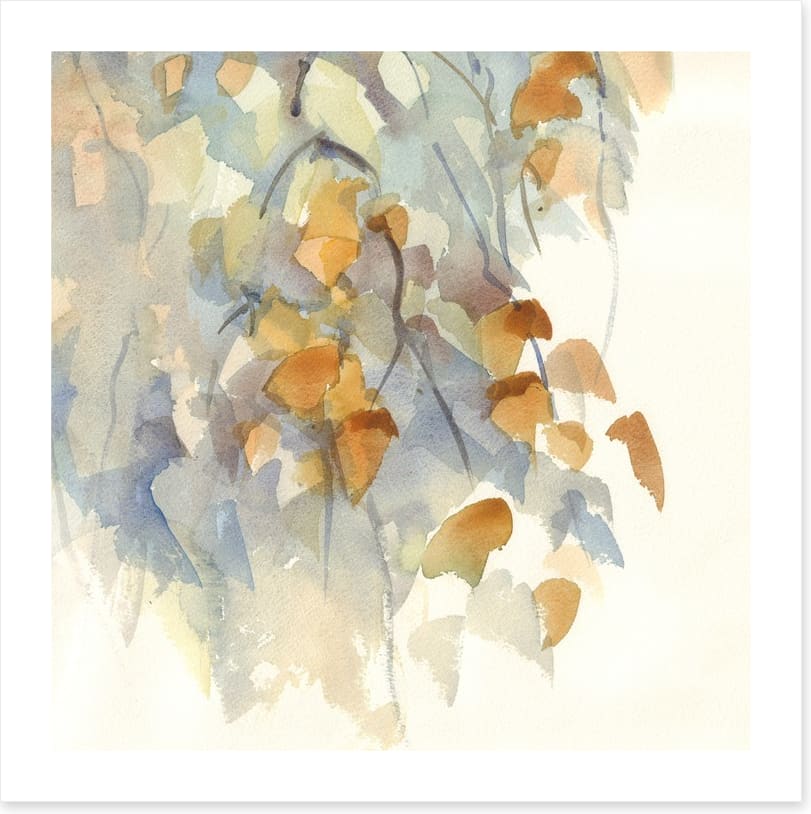 Shadows in the birch