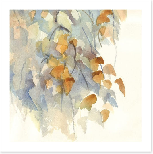 Shadows in the birch