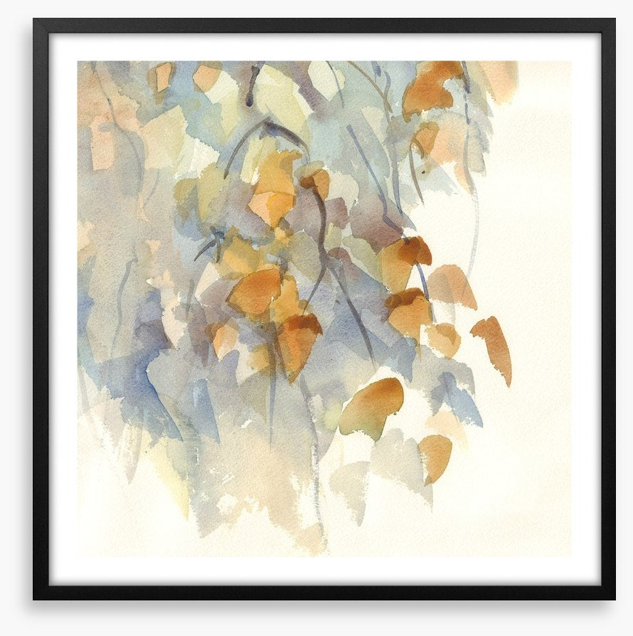 Shadows in the birch