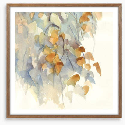 Shadows in the birch