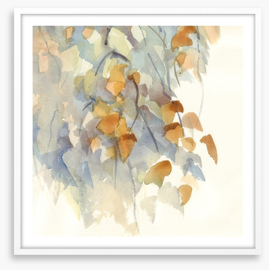 Shadows in the birch