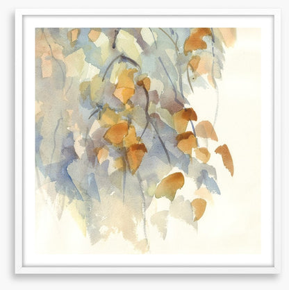 Shadows in the birch