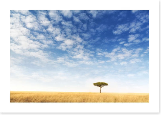 Africa