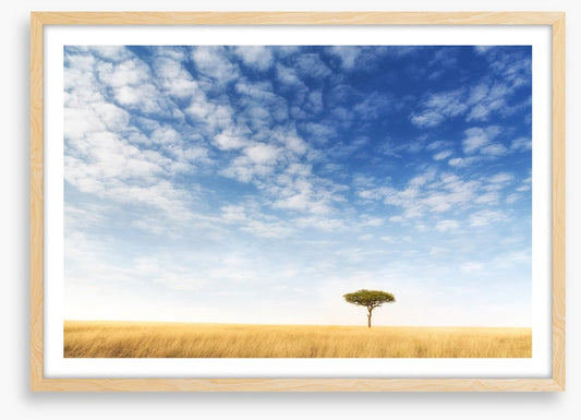 Africa