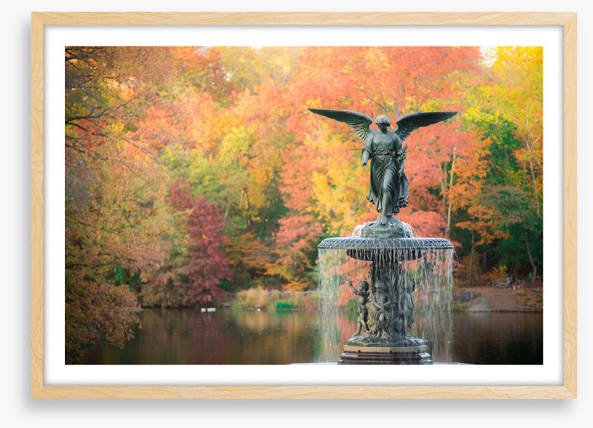 Bethesda Fountain in fall