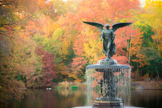 Bethesda Fountain in fall