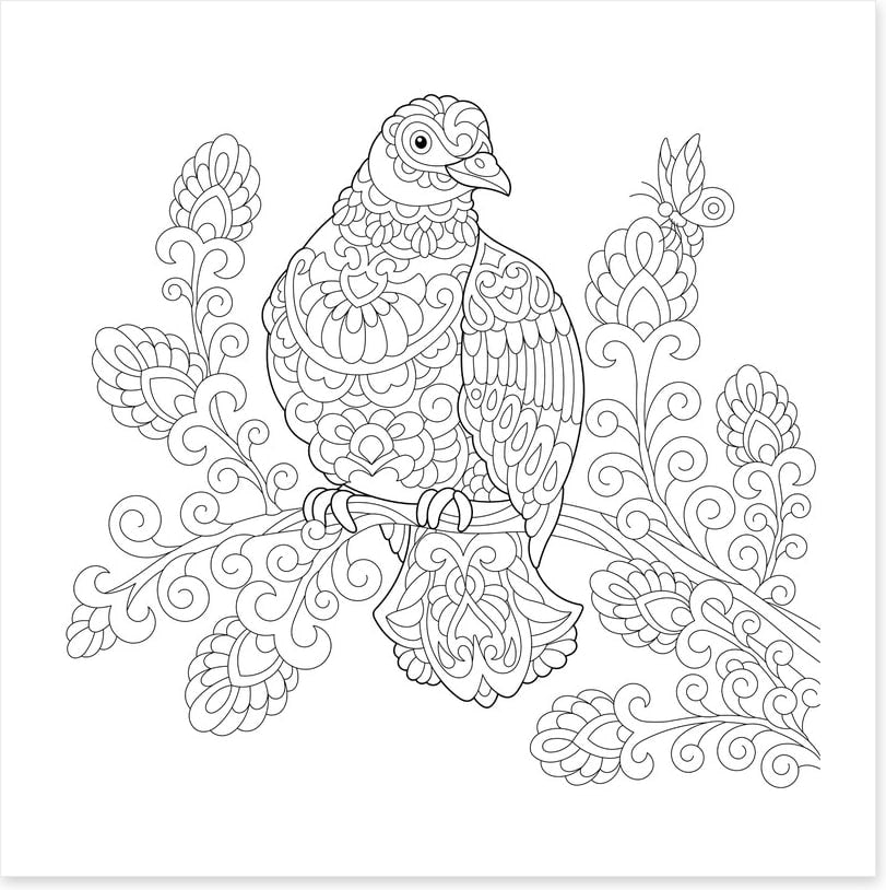 Colour me dove