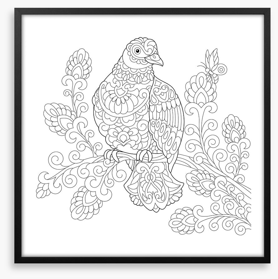 Colour me dove