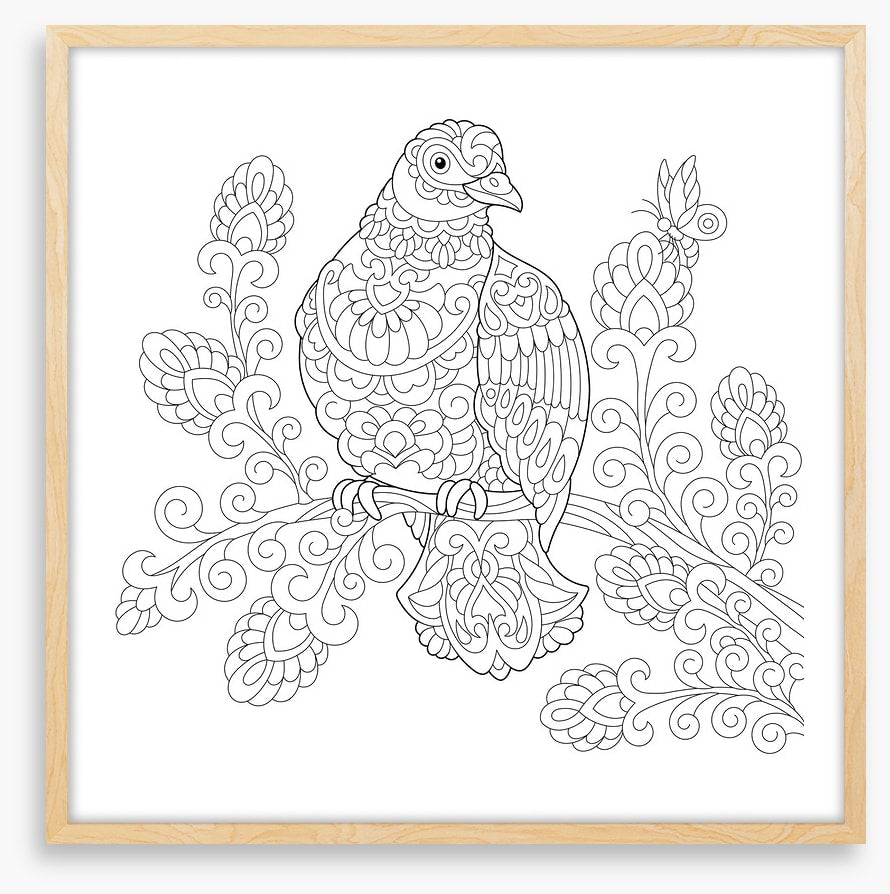Colour me dove