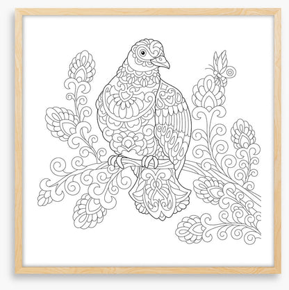Colour me dove
