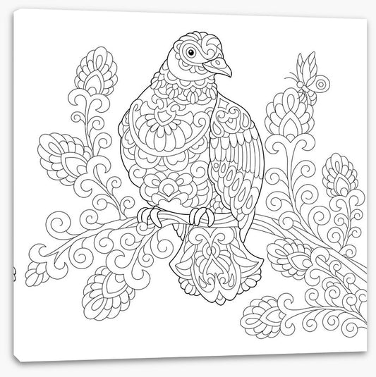 Colour me dove