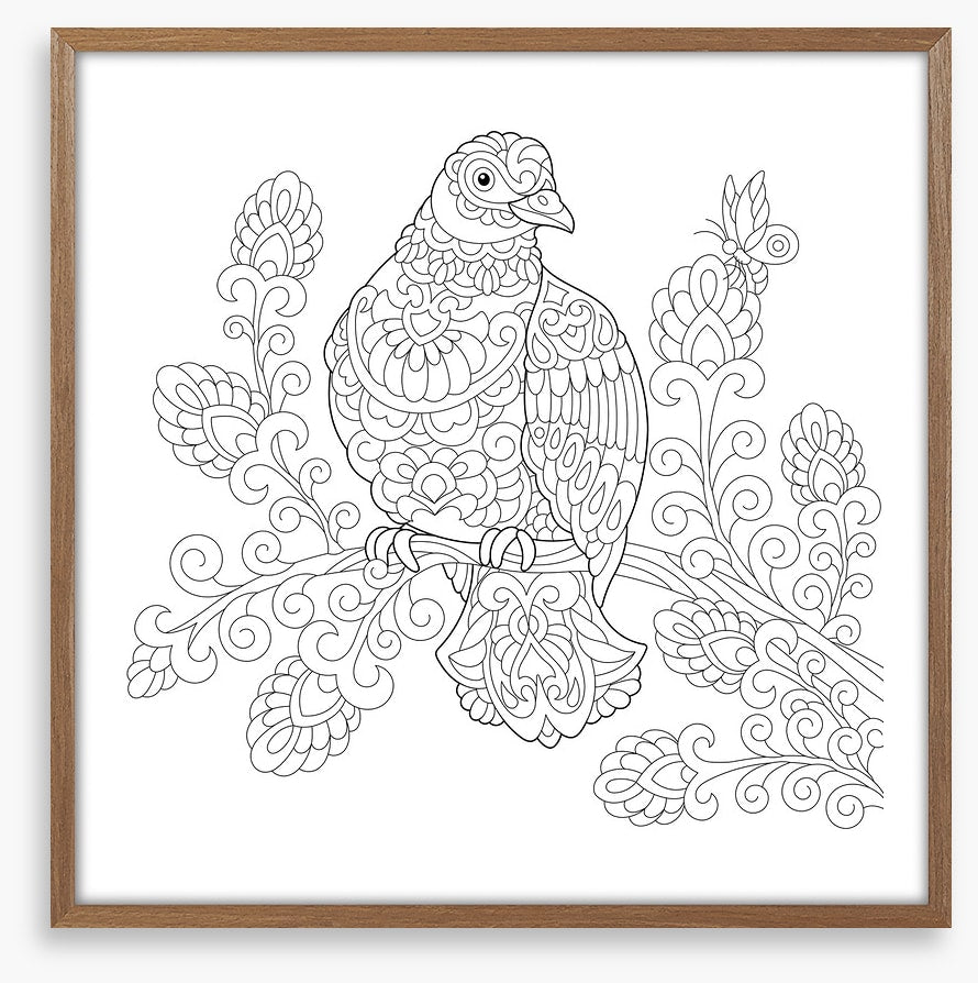 Colour me dove