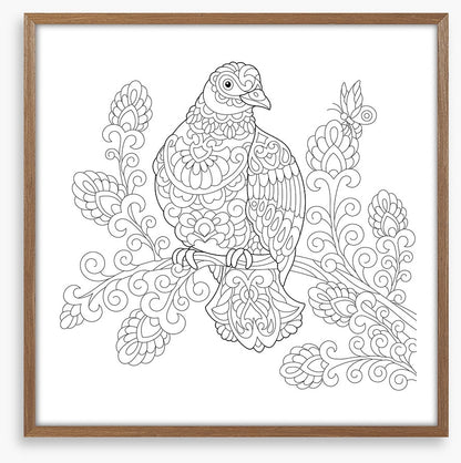 Colour me dove