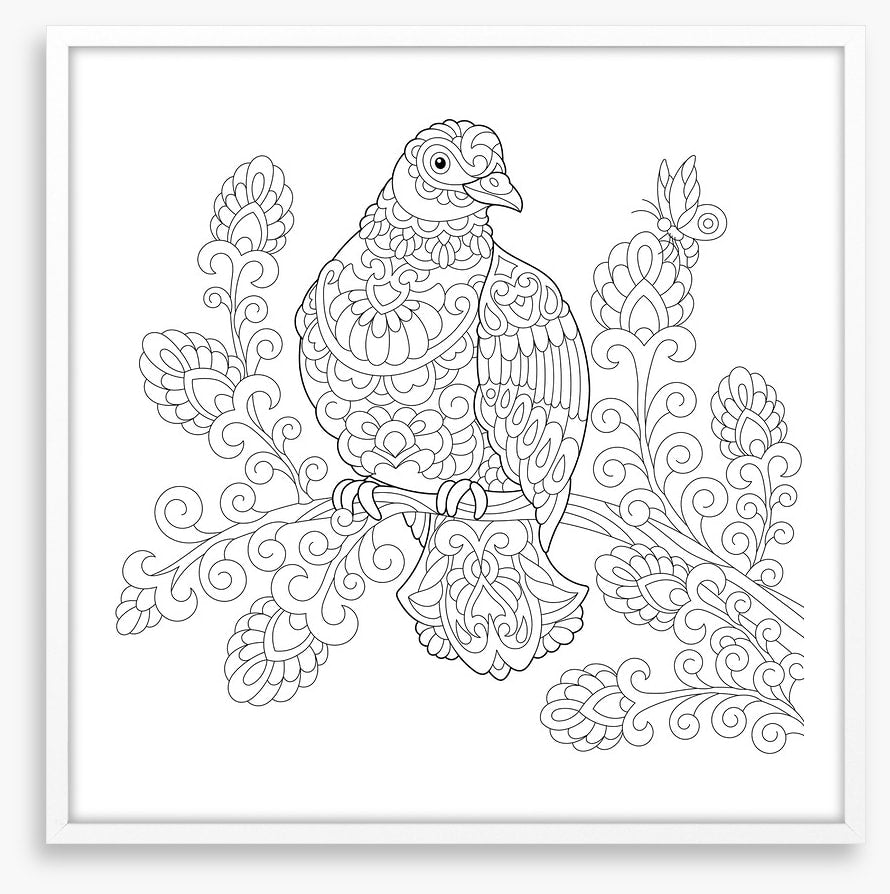 Colour me dove