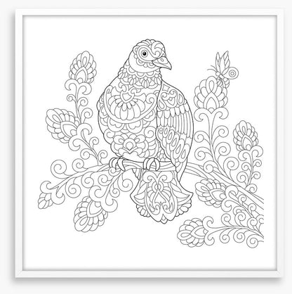 Colour me dove