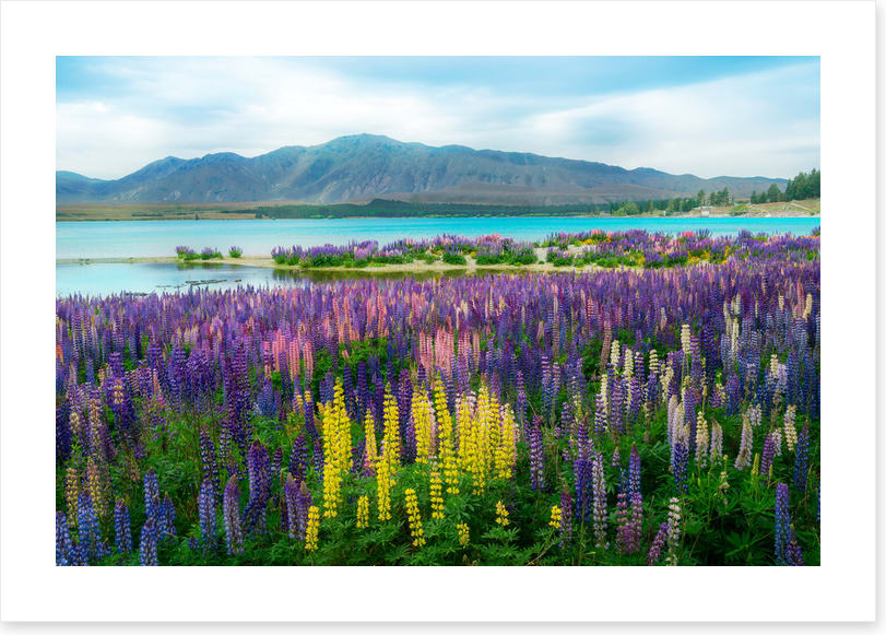 New Zealand