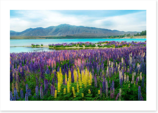 New Zealand