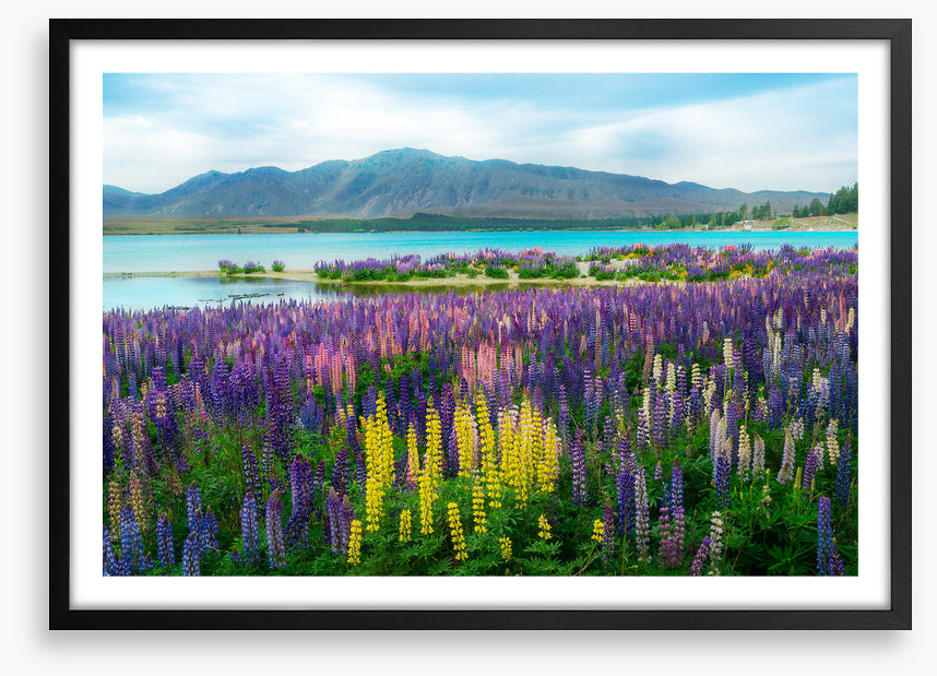 New Zealand