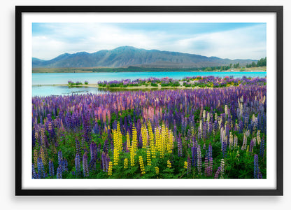 New Zealand