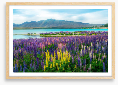 New Zealand