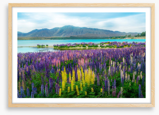 New Zealand